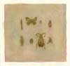 Bugs 3