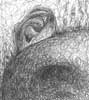 Ear Plannet