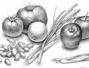 Vegetable Still Life
