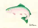 Rainbow Trout