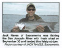 Photo published 12/8/2006