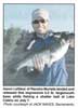 Photo published 8/17/2007