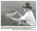 Photo published 8/17/2007