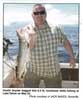 Published 7/17/2009