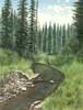 Mountain Stream