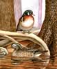 Wood Ducks